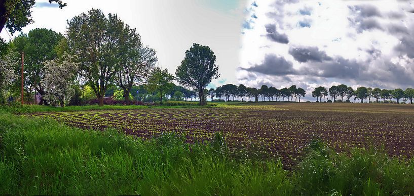 Vier binnenplaatspanorama's 1 van Edgar Schermaul