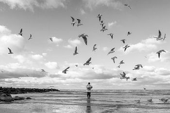 Le pêcheur de crevettes