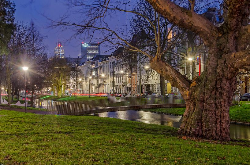 Westersingel Rotterdam in het blauwe uur van Frans Blok