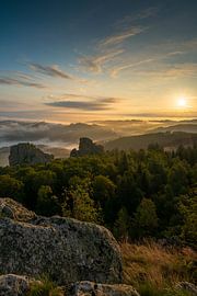 Sonnenaufgang im Wald von Lorant Petrik