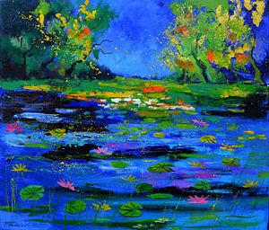 Magic pond von pol ledent