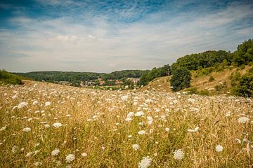 Sint-Pietersberg in Zuid-Limburg / South Limburg / Süd-Limburg van Margreet Frowijn