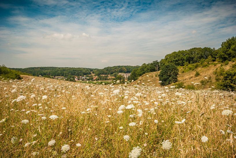 Sint-Pietersberg in Zuid-Limburg / South Limburg / Süd-Limburg par Margreet Frowijn