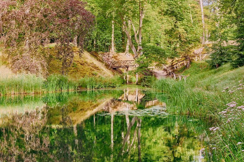 landschap Nationaal Park Zuid-Kennemerland van eric van der eijk