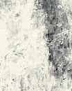 Ochtend Monochroom Zwart Wit van Mad Dog Art thumbnail