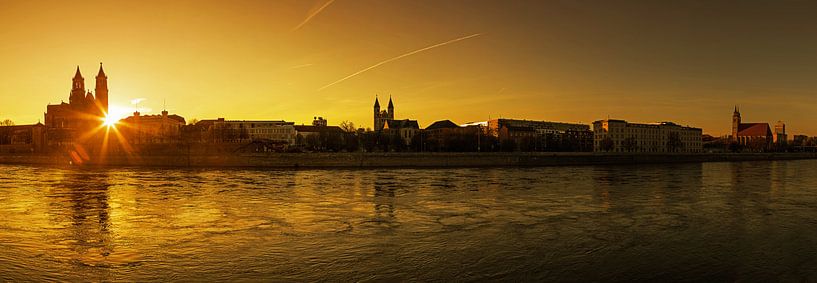 Magdeburg Panorama zum Sonnenuntergang von Frank Herrmann