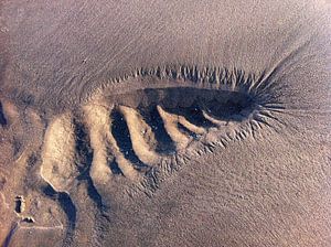 Traces in the sand - 'Reuzenduizendpoot'? von Jon Houkes