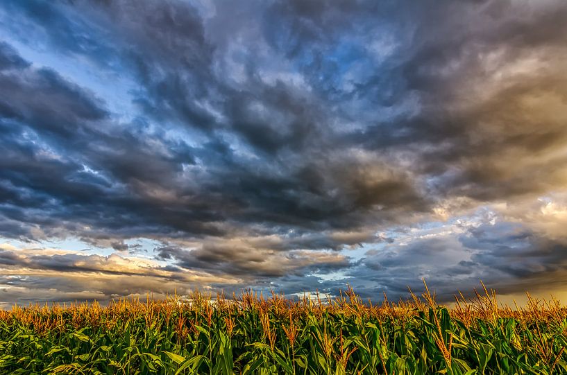 Corn And Clouds van Bram Visser