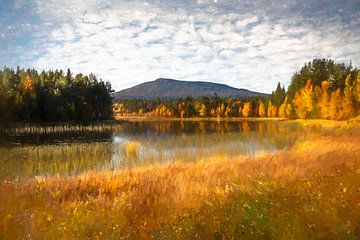 Autumn colors around the Sonfjället