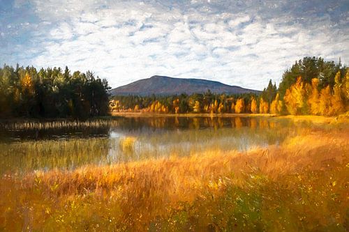 Autumn colors around the Sonfjället