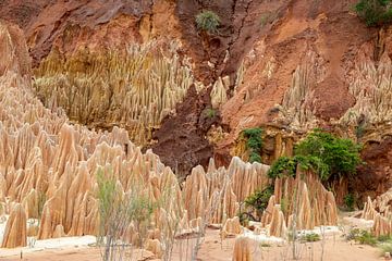 Zandsteenformaties in het Tsingy Rouge Park op Madagaskar van Reiner Conrad