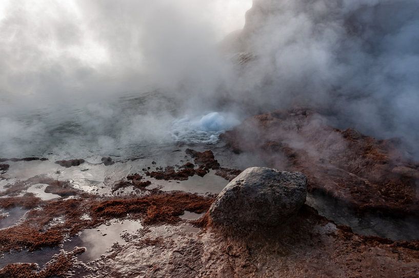 dampfender Geysir von Alex Neumayer