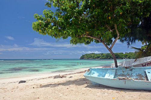 Caribisch strand