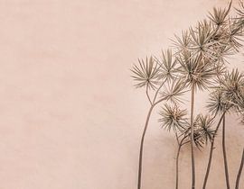 Natural Beauty And Serene Design by Monika Strigel