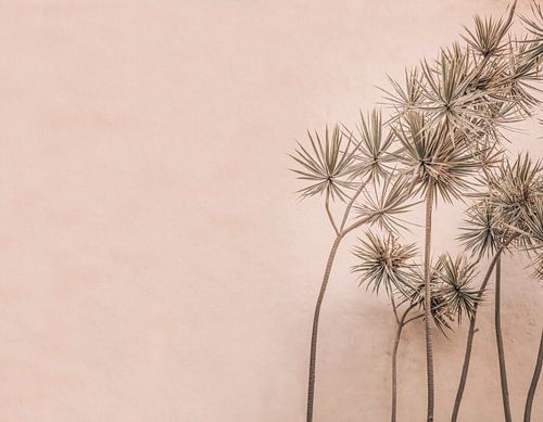 Natural Beauty And Serene Design