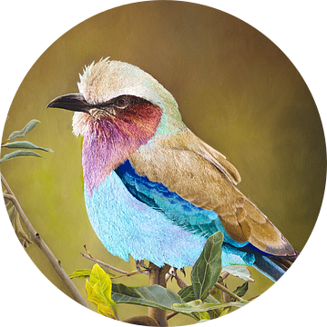 Vogel Lilac breasted roller schilderij van Russell Hinckley