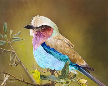Vogel Lilac breasted roller schilderij