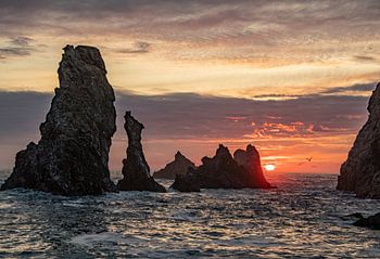 Aiguilles de Port Coton auf der Belle Ile, Bretagne (Frankreich) bei Sonnenuntergang