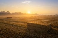 Baling straw in the morning sun by Jeroen Lagerwerf thumbnail