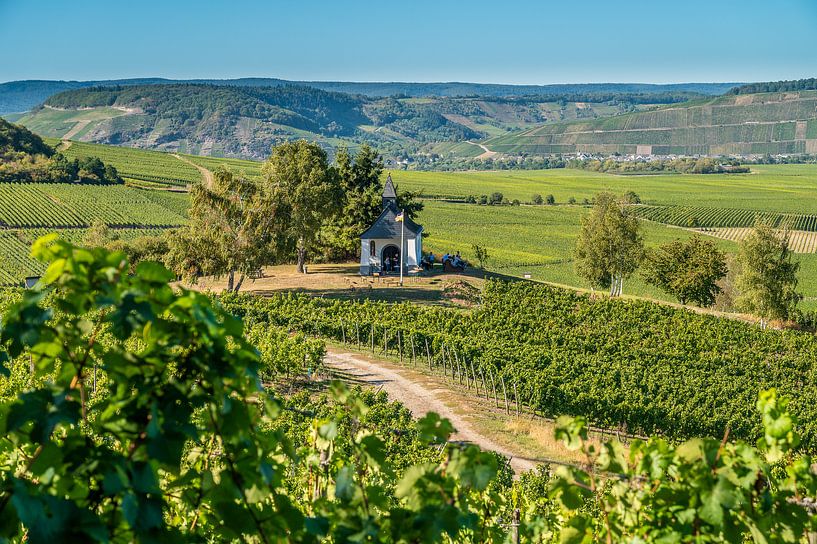 Moselle Leiwen avec vignes par Hans Lebbe