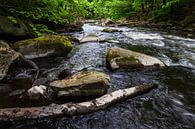 Landscape on the river Bode in the Harz area, Germany van Rico Ködder thumbnail