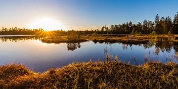 Wildseemoor bij Kaltenbronn in het Zwarte Woud van Werner Dieterich