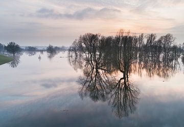 Hoogwater in de Ooijpolder