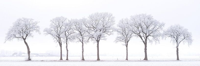 Winterlandschap met berijpte bomen van Jenco van Zalk