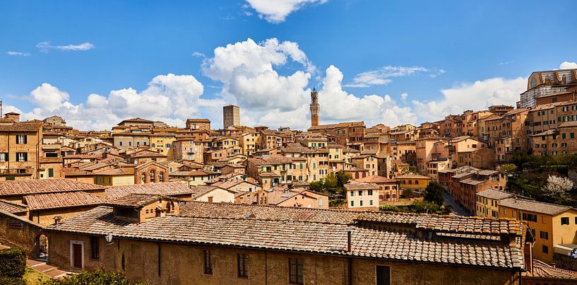 Siena by Graham Forrester