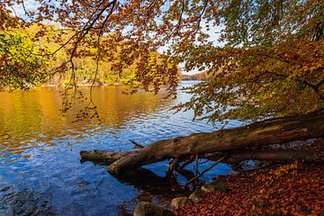 Blick über den See Schmaler Luzin