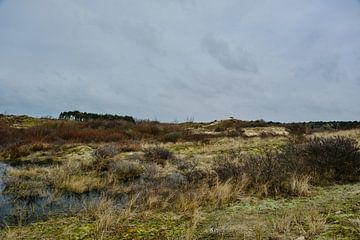Les dunes entre Wassenaar et Katwijk, la glace est sur les fensLes dunes entre Wassenaar et Katwijk, la glace est sur les fens sur Eugenio Eijck