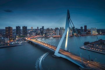 Rotterdamse Dynamiek: De Zwaan in de Blauwe Avond