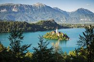 Lac de Bled (Slovénie) par Alexander Voss Aperçu