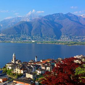Une soirée de printemps sur le lac Majeur sur Gisela Scheffbuch