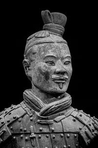 Het Terracottaleger van Xian in China