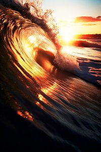 Oceanic - Meer in Fusion