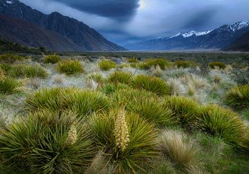 Landschap in Tasman gletsjer van Albert Brunsting