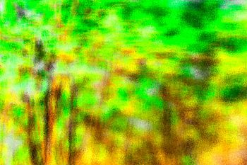 Es regnet im Märchenwald