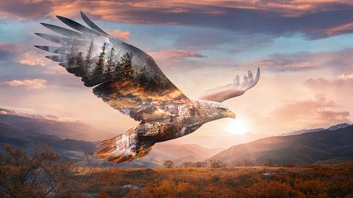 De Vlucht van de Adelaar – Natuur en Vrijheid van Arjen Roos