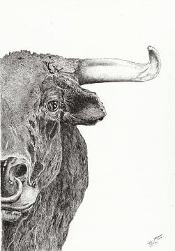 Stier (Stier) von Carmen-Ghizela Todita