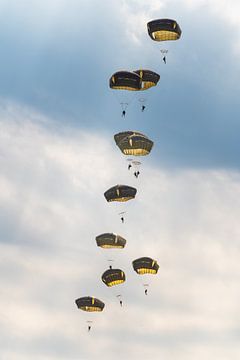 Airborne by Tim Rensing