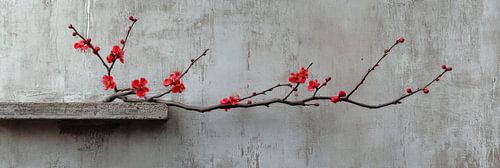 Rustieke Rode Bloesemtak tegen Betonachtergrond