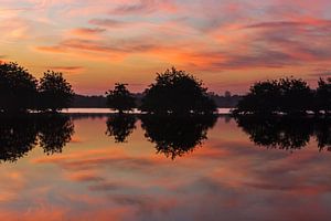 morgenstond by Berend-Jan Bel