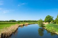 Landscape in the Spreewald area, Germany