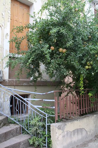 Grieks huis met appelboom