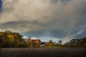 Bauernhof bei Eenum in Groningen