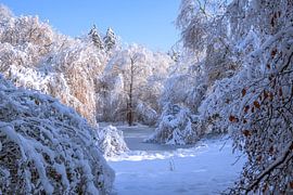 BADEN-WÜRTTEMBERG : LAC GELÉ sur Photoart-Naegele