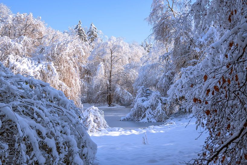 BADEN-WÜRTTEMBERG : BEVROREN MEER van Photoart-Naegele