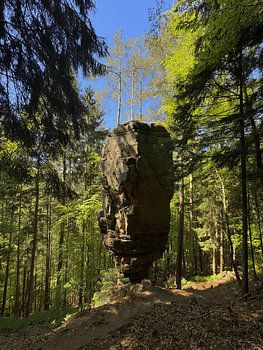 A balancing rock in the forests of Luxembourg