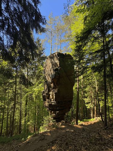 Ein balancierender Felsen in den luxemburgischen Wäldern